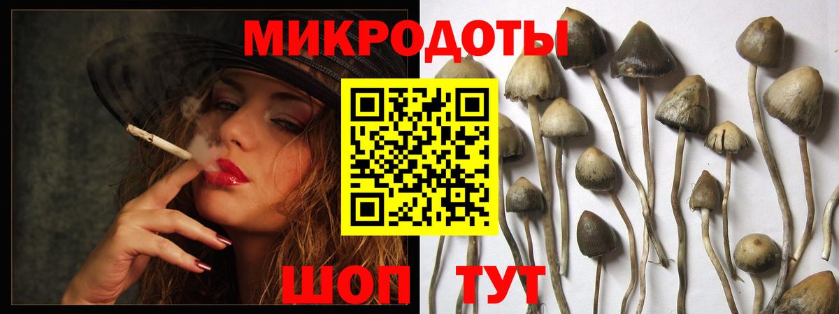 Галлюциногенные грибы Psilocybine cubensis  Вход с VPN  Галлюциногенные грибы Psilocybine cubensis  Егорьевск 